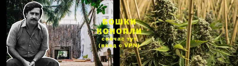 Конопля SATIVA & INDICA  Дегтярск 